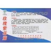 广州乾农 玫瑰花茄种子 果肉淡绿色 肉质细嫩 风味独特 商品性状优良 适应性强 商品率高 茄子种子 5克装