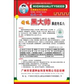 广州农源 黑大帅黑皮冬瓜种子 叶色深绿 瓜形较瘦长 果实炮弹形 肉厚 耐贮运 冬瓜种子 200粒装
