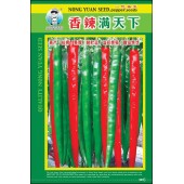 广州农源 香辣满天下线椒种子 高产 抗病 果靓 耐贮运 适应性强 商品性优 辣椒种子 5克装