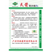 广州绿霸 天箭单生朝天椒种子 单生 抗病 耐热 结果多 特丰产 辣椒种子 5克装