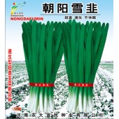 河南农大富民 朝阳雪韭种子 超直 超生 不休眠 生长迅速 长势强壮 特耐低温 韭菜种子 500克装