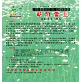河南农大富民 朝阳雪韭种子 超直 超生 不休眠 生长迅速 长势强壮 特耐低温 韭菜种子 500克装