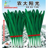 河南农大富民 农大阳光韭菜种子 超直 速生 不休眠 生长迅速 长势强壮 特耐低温 韭菜种子 500克装