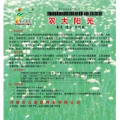 河南农大富民 农大阳光韭菜种子 超直 速生 不休眠 生长迅速 长势强壮 特耐低温 韭菜种子 500克装