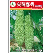 湖南兴蔬 兴蔬春秀苦瓜种子 早熟 绿白色 粗突瘤 圆筒形 苦瓜种子 10克装