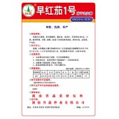 湖南兴蔬 早红茄1号茄子种子 紫红色 光泽好 果实卵圆形 早熟 茄子种子 10克装
