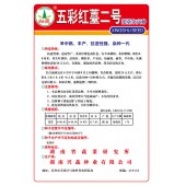 湖南兴蔬 五彩红薹二号菜苔种子 早中熟 丰产 抗逆性强 品质好 菜薹种子 10克装