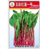 湖南兴蔬 五彩红薹一号菜苔种子 极早熟 耐热 抗逆性强 品质好 菜薹种子 10克装