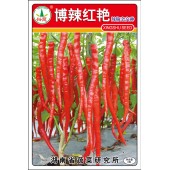湖南兴蔬 博辣红艳种子 中熟 绿色 果直 座果性好 辣椒种子 8克装