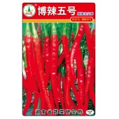 湖南兴蔬 博辣五号种子 中晚熟 辣味强 口感好 辣椒种子 8克装