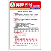 湖南兴蔬 博辣五号种子 中晚熟 辣味强 口感好 辣椒种子 8克装