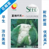 厦门文兴 夏将65天花椰菜种子 早中熟 耐热耐湿 抗病性强 植株生长强健壮旺 花椰菜种子 10克装