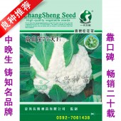 厦门文兴 高山宝75天花椰菜种子 一代杂交 中晚生 耐寒耐湿 较耐低温 花椰菜种子 2000粒装
