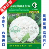 厦门文兴 庆扬90天 青梗松花种子 花型美观 品质超群 市场流行 花椰菜种子 10克装