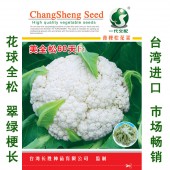 厦门文兴 美全松60天花椰菜种子 一代杂交 中早生 耐热耐湿 抗病性强 花椰菜种子 2000粒装
