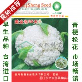 厦门文兴 美全松55天花椰菜种子 早生耐热 杂交优势强 植株生长强健 生长快 花椰菜种子 10克装