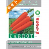 厦门文兴 美国高山大根胡萝卜种子 早中晚 耐寒耐热 生长强健 适应性强 胡萝卜种子 1万粒装