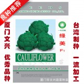 厦门文兴 绿美西兰花种子 早晚熟品种 耐寒性强 花蕾紧密 蕾粒细小 西兰花种子 10克装