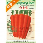 厦门文兴 红金宝胡萝卜种子 耐热耐寒 抗旱耐湿 叶茎直立 生长强健 适应性广 胡萝卜种子 2万粒装