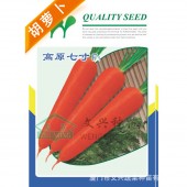 厦门文兴 高原七寸胡萝卜种子 耐寒耐热 耐抽苔 植株生长强健 适应性强 胡萝卜种子 2万粒装