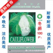 厦门文兴 冬将100天花椰菜种子 植株生长强健 抗病性强 适应性广 易栽培管理 花椰菜种子 10克装