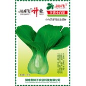 湖南湘妹籽种业 冬青小白菜种子 冬性强 生长快 耐低温 极耐油菜 小白菜种子 10克装