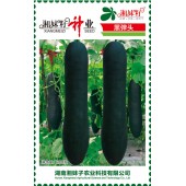 湖南湘妹籽 黑弹头冬瓜种子 中熟 炮弹形 绿色 肉厚 冬瓜种子 200粒装