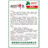 湖南湘妹籽 黑弹头冬瓜种子 中熟 炮弹形 绿色 肉厚 冬瓜种子 200粒装