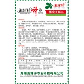 湖南湘妹籽 墨宝冬瓜种子 中熟 长柱形 肉质紧密 抗性强 冬瓜种子 200粒装