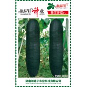 湖南湘妹籽 墨宝冬瓜种子 中熟 长柱形 肉质紧密 抗性强 冬瓜种子 200粒装