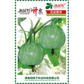 湖南湘妹籽种业 花皮嫩早南瓜种子 肉厚 早熟 高园形 耐低温 南瓜种子 10克装