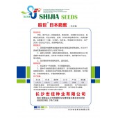 长沙世佳种业 日本脆蜜甜瓜种子 早熟 卵形 皮薄 绿色 甜瓜种子 5克装