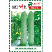 湖南湘妹籽种业 精品早佳丝瓜种子 肉丝瓜类型 连续座果能力特强 单果重400-450克 商品性极佳 丝瓜种子 10克装
