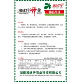 湖南湘妹籽种业 精品早佳丝瓜种子 肉丝瓜类型 连续座果能力特强 单果重400-450克 商品性极佳 丝瓜种子 10克装