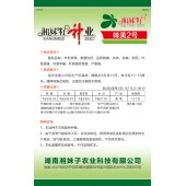湖南湘妹籽种业 味美2号白菜种子 抗热 抗菌 耐雨 叶色翠绿 叶面平展 叶柄绿且宽厚 产量高 10克装