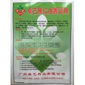 广州卓艺 黑仁油青豆角种子 植株蔓性 开花集中 双荚多 亩产量3000公斤 豆角种子 250克装