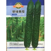 广州阳兴 翠绿青瓜种子 皮色深绿非常有光泽 瓜肉淡绿色 瓜条清甜可口 青瓜杂交种 10克装