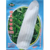 广州绿霸  绿美白甜糯1028玉米种子 皮果薄 甜度高 穗性好 甜糯比1：3 甜糯1028玉米 200克装