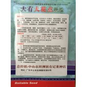 中山有记菜种 大有大花点丝瓜种子 早熟 瓜长约35-45厘米 粗约6厘米 带花点特厚肉 丝瓜种子 10克装