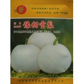 河南豫艺种业 豫甜雪梨甜瓜种子 雪白光亮的早熟薄皮杂交甜瓜 外形美 品质好 甜瓜种子 500粒袋