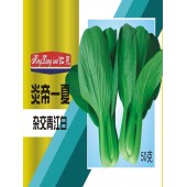 江门农友种业 红亮炎帝一夏青江白种子 叶色亮绿 耐热 耐湿及抗病性突出 叶菜种子 50克装