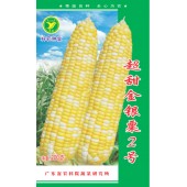 广东粤蔬 超甜金银粟2号玉米种子 广东省农科院选育 粒色金银相嵌 高产达1000公斤 玉米种子 200克装