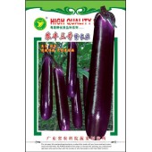 广东粤蔬 农丰三号紫红茄种子 广东农科院选育 末期挂果超靓不变短 农科院最新品种 茄子种子 5克装