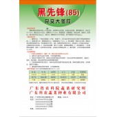 广东粤蔬 黑先锋杂交冬瓜种子 出口冬瓜 广东农科院选育 亩产6778kg 抗枯萎病疫病 冬瓜种子 15克装