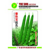 广东粤蔬 春秋宝丝瓜种子 广东农科院选育  瓜靓 抗性好 丝瓜种子 20克装