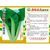 广州阳兴 扁哈大肉甜芥菜种子 中迟熟 品质好 定植后约40天初收 芥菜种子 30克装
