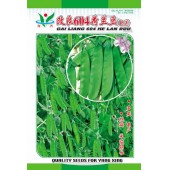 广州阳兴 改良604荷兰豆种子 改良新品种 产量高 适应性广 荷兰豆种子 30克装