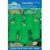 广州阳兴 秀田早丰四秀油绿短蒲瓜种子 丰产稳产 果皮翠绿 亩产可达10000斤 蒲瓜种子 15克装