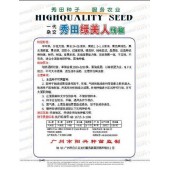 广州阳兴 秀田绿美人线椒种子 椒条更粗更长更亮 特高产 强烈推荐 辣椒种子 1000粒