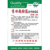 广州阳兴 秀田超甜脆尖叶甜唛菜种子 风味佳 抗病 高产 唛菜种子 2克装